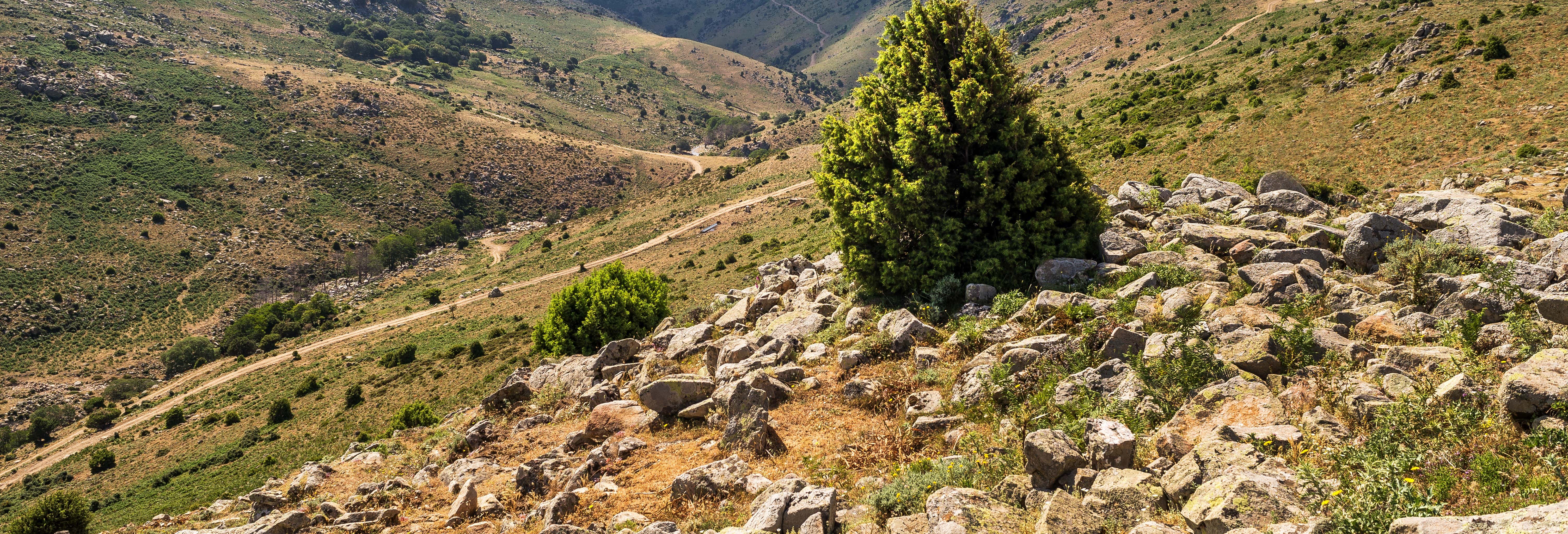 Gennargentu National Park Jeep Tour