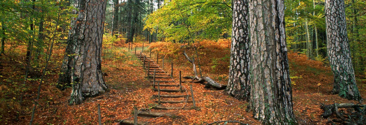 Sila National Park Hike