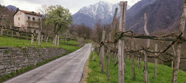 Trekking a Montecrestese + Degustazione vini