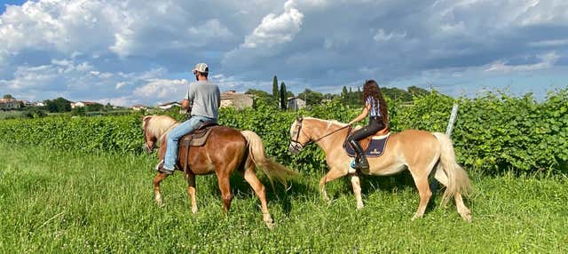 Passeggiata a cavallo a Lazise + Degustazione di vino