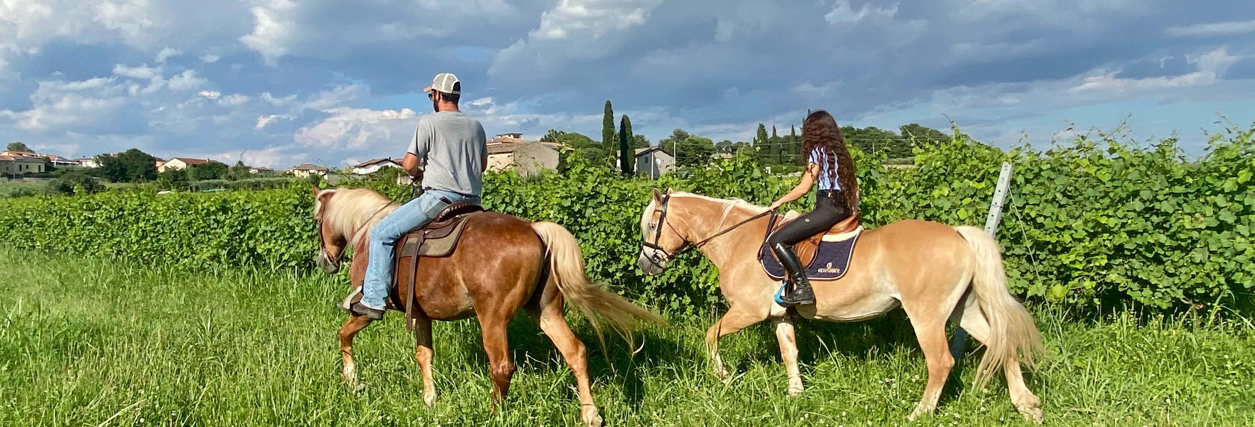 Passeggiata a cavallo a Lazise + Degustazione di vino
