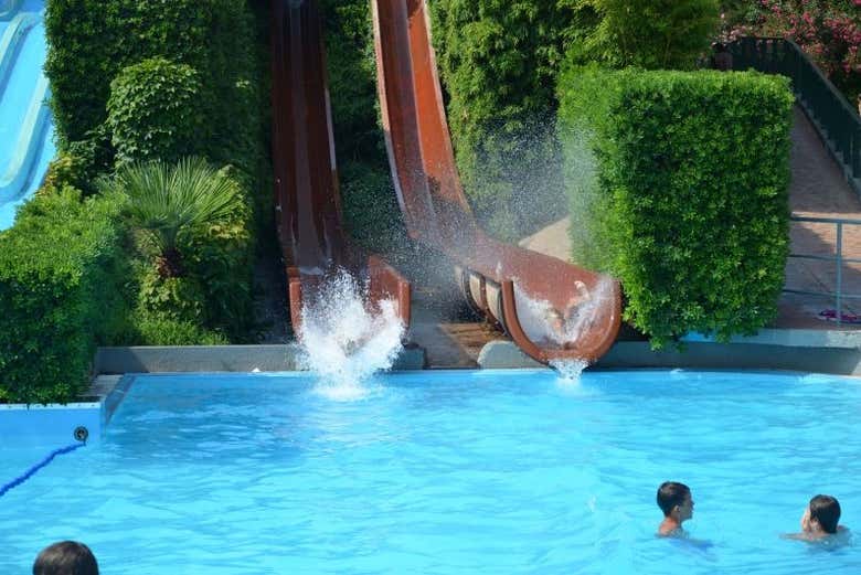 Imagen 7