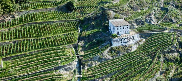Degustazione di vino a Chiuro