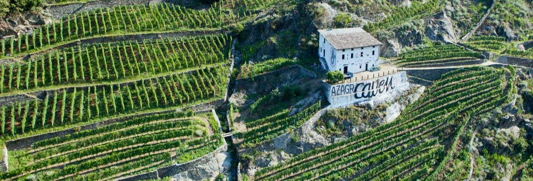 Degustazione di vino a Chiuro