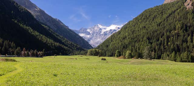 Giro in carrozza nel Parco Nazionale del Gran Paradiso