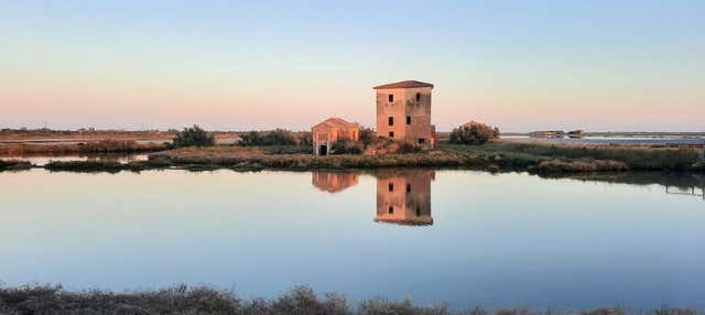 Giro in barca nelle saline di Comacchio
