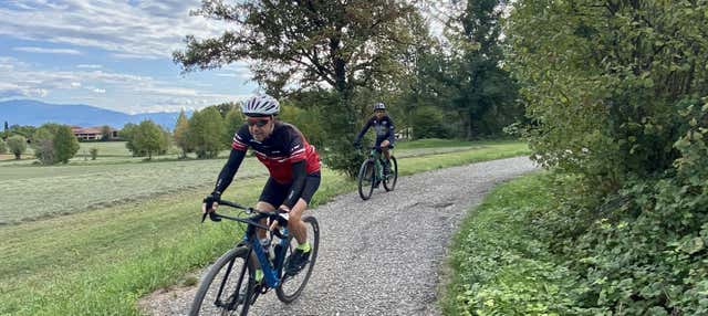 Tour di Desenzano del Garda in bici elettrica + Degustazione di vino