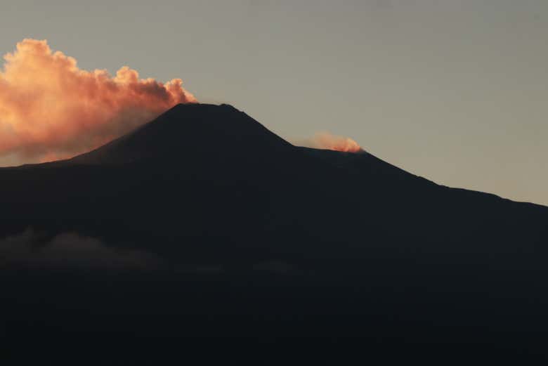 Imagen 4
