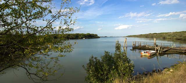 Giro in barca nella Riserva Naturale Po di Volano