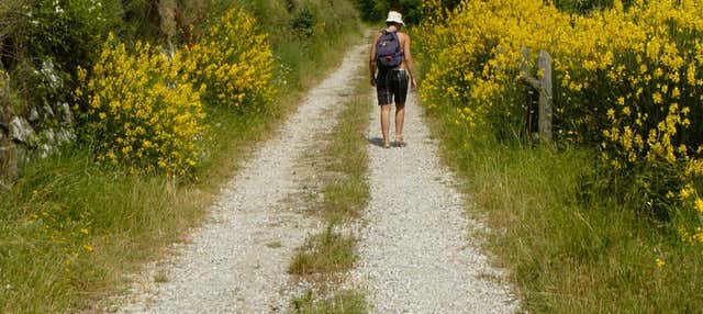Escursione al torrente Resco Simontano