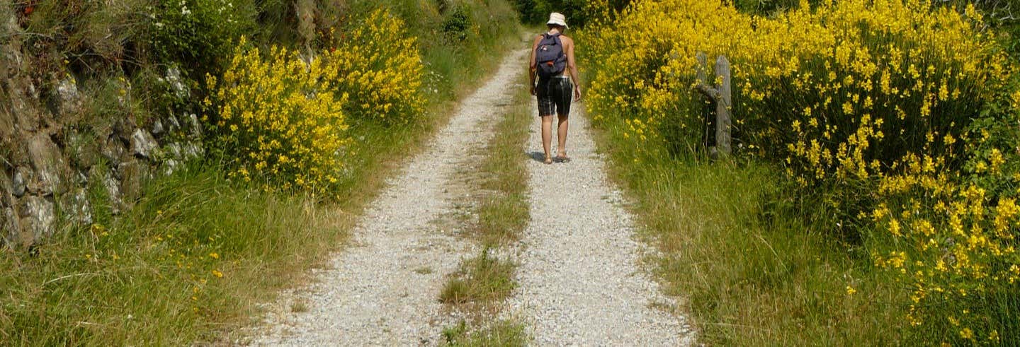 Excursion to the Resco Simontano River