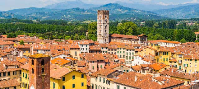 Escursione privata libera da Firenze