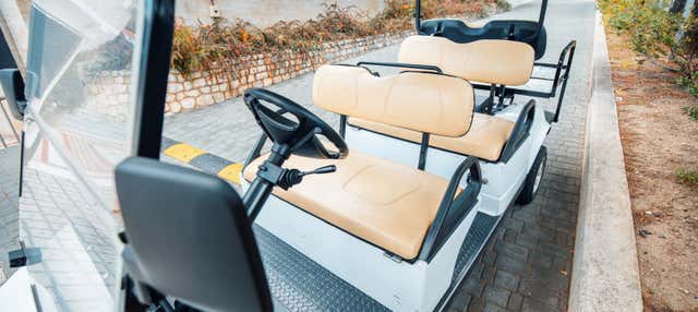 Tour di Firenze in auto elettrica