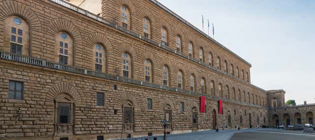 Visita guidata di Palazzo Pitti e della Galleria Palatina