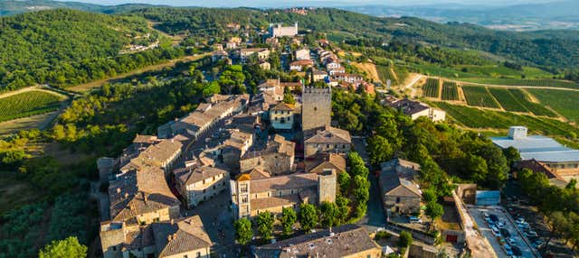 Tour do vinho pelo Chianti em grupo reduzido