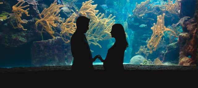 Biglietti per l'Acquario di Genova + Degustazione di panera