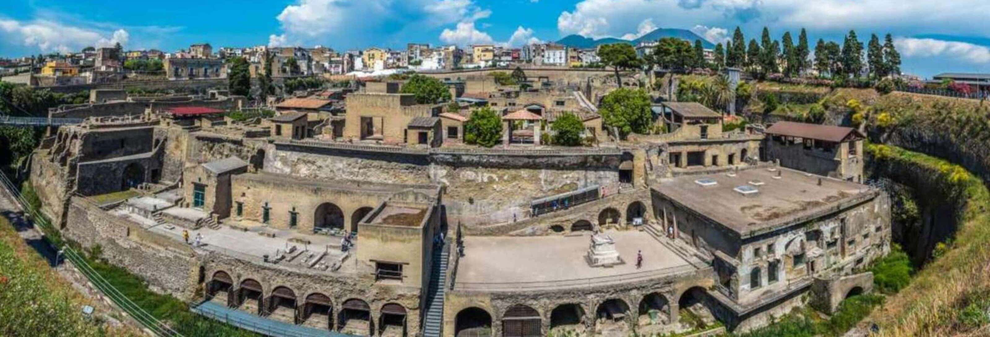 Archeological Park of Herculaneum Skip-the-Line Ticket