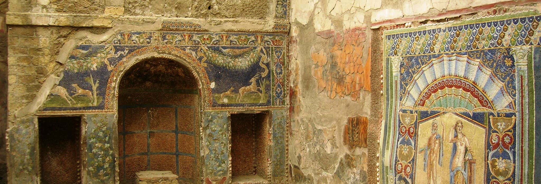 Herculaneum Private Tour