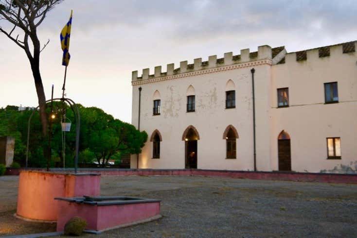 Imagen 5