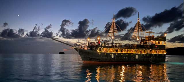 Avvistamento di delfini al tramonto