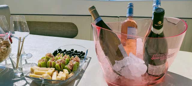 Giro in barca privata sul Lago di Garda