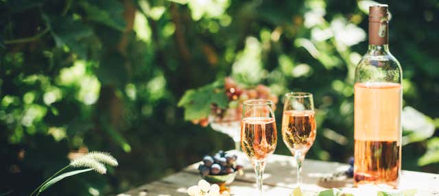 Visita di una fattoria biodinamica + Degustazione di vino