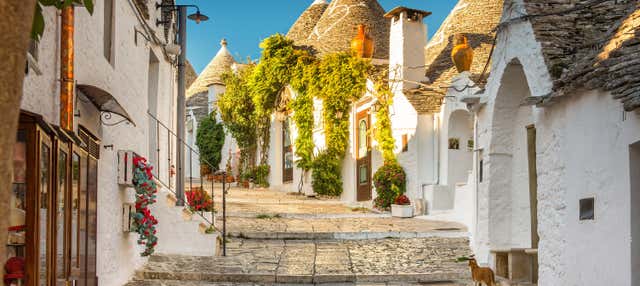 Escursione ad Alberobello, Polignano a Mare e Ostuni