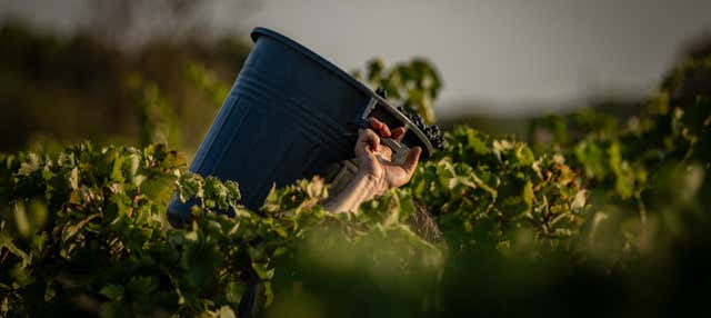 Visita a Casina Spezzaferri
