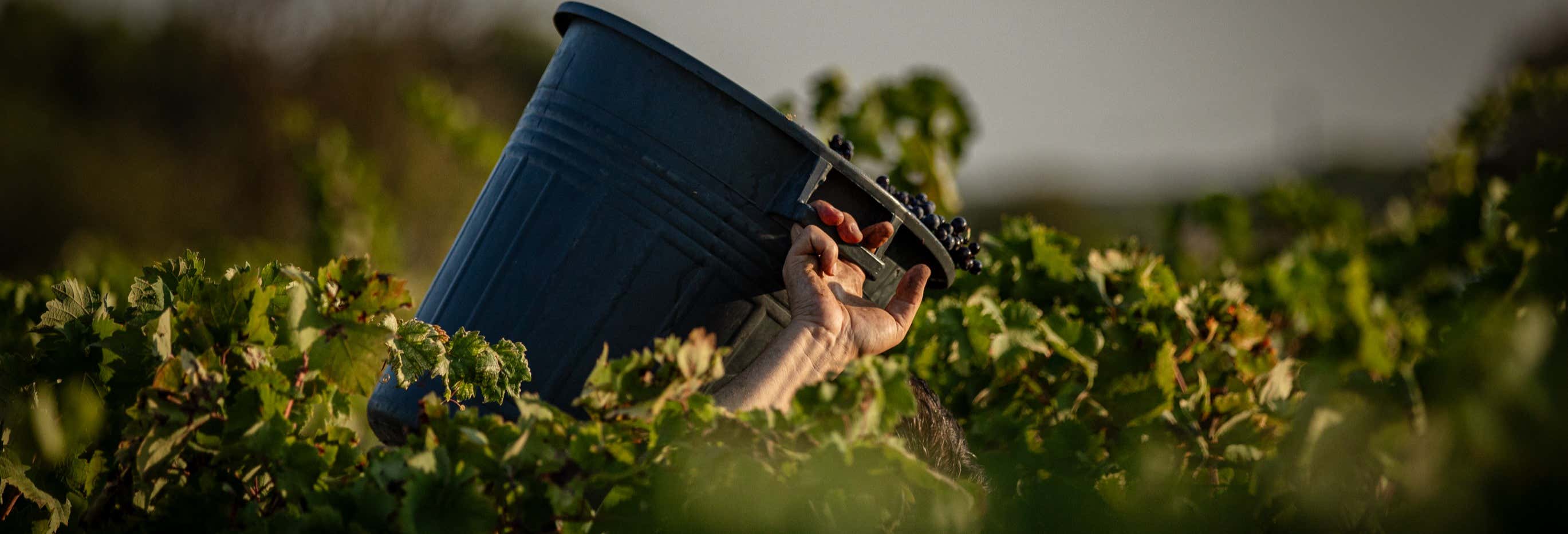 Casina Spezzaferri Tour