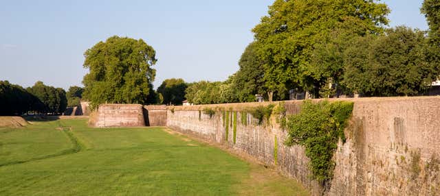 Visita guidata delle mura di Lucca
