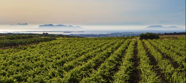 Degustazione di vino a Marsala