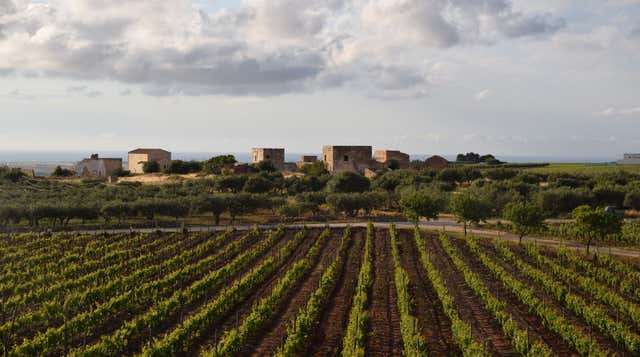 Marsala