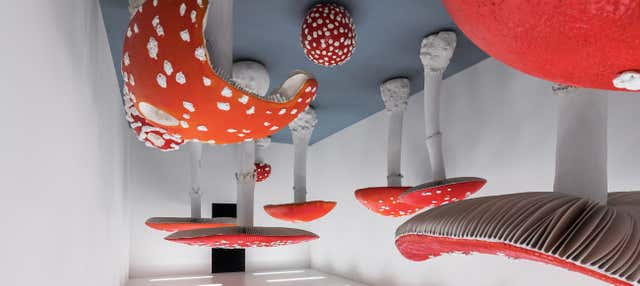 Biglietti per la Fondazione Prada