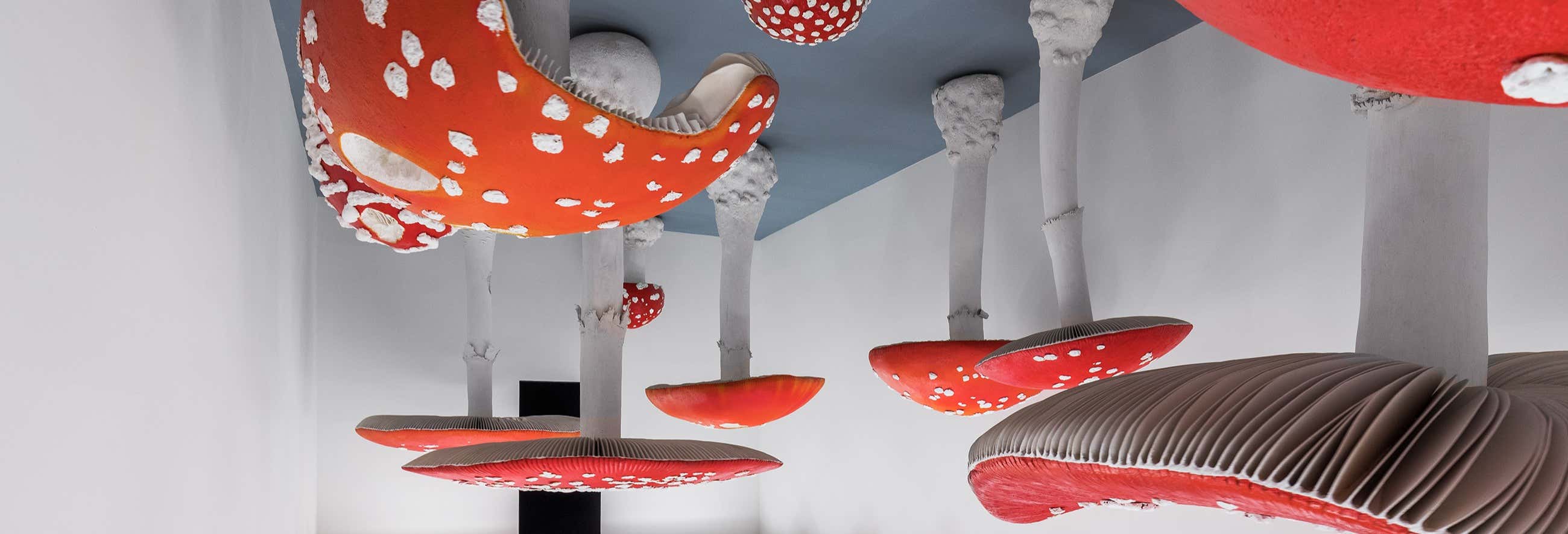 Biglietti per la Fondazione Prada