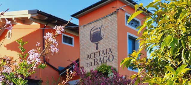 Visita di una cantina di aceto balsamico