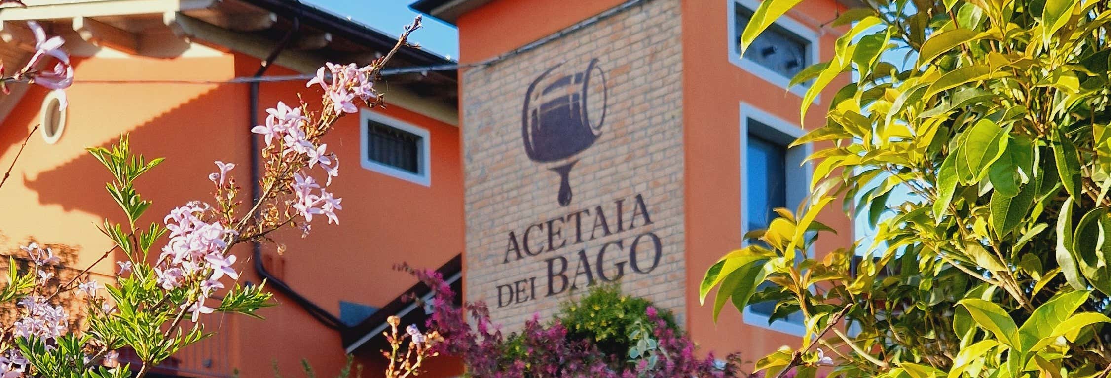 Visita di una cantina di aceto balsamico