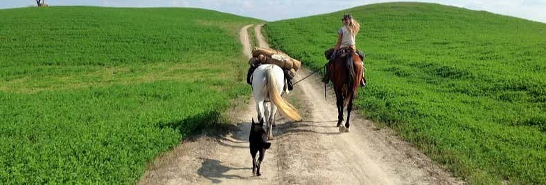 Padule di Fucecchio Nature Reserve Horseback Riding