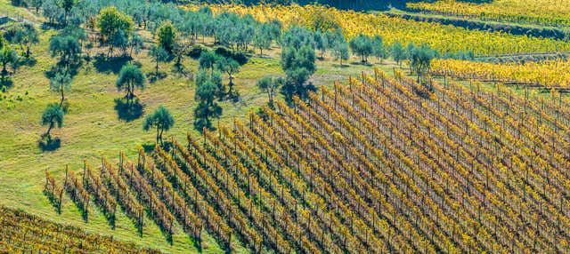 Passeggiata a cavallo nella campagna toscana