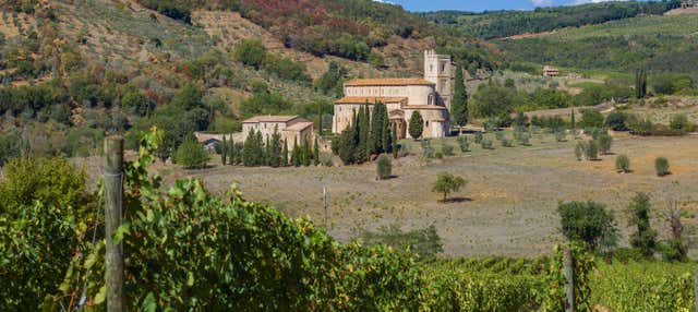 Tour privato di Montalcino e dell'Abbazia di Sant’Antimo