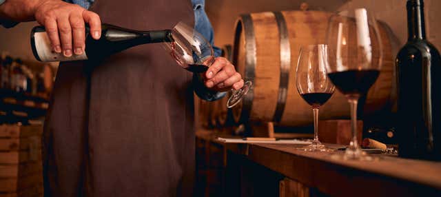 Pranzo in una cantina di Montecatini Terme + Degustazione di vino