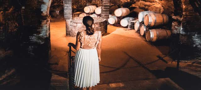 Tour delle cantine con degustazione