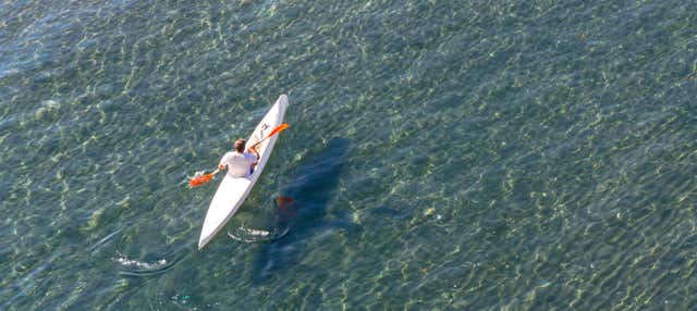Tour in kayak delle Cinque Terre