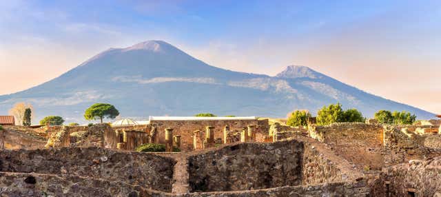 Escursione a Pompei ed Ercolano
