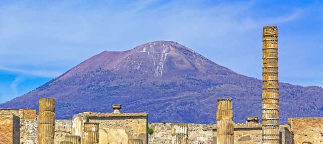 Escursione a Pompei e al Vesuvio + Degustazione di vini