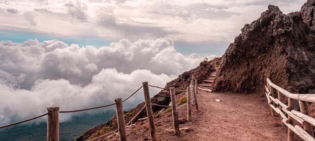 Escursione al Vesuvio e a Ercolano