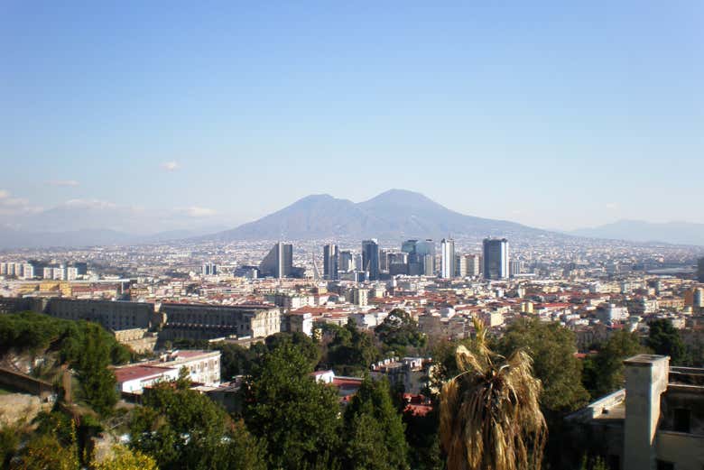 Imagen 10