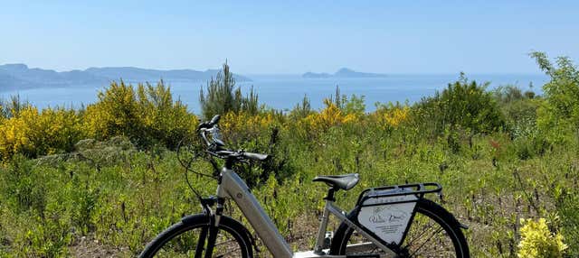 Tour in bicicletta elettrica e trekking sul Vesuvio