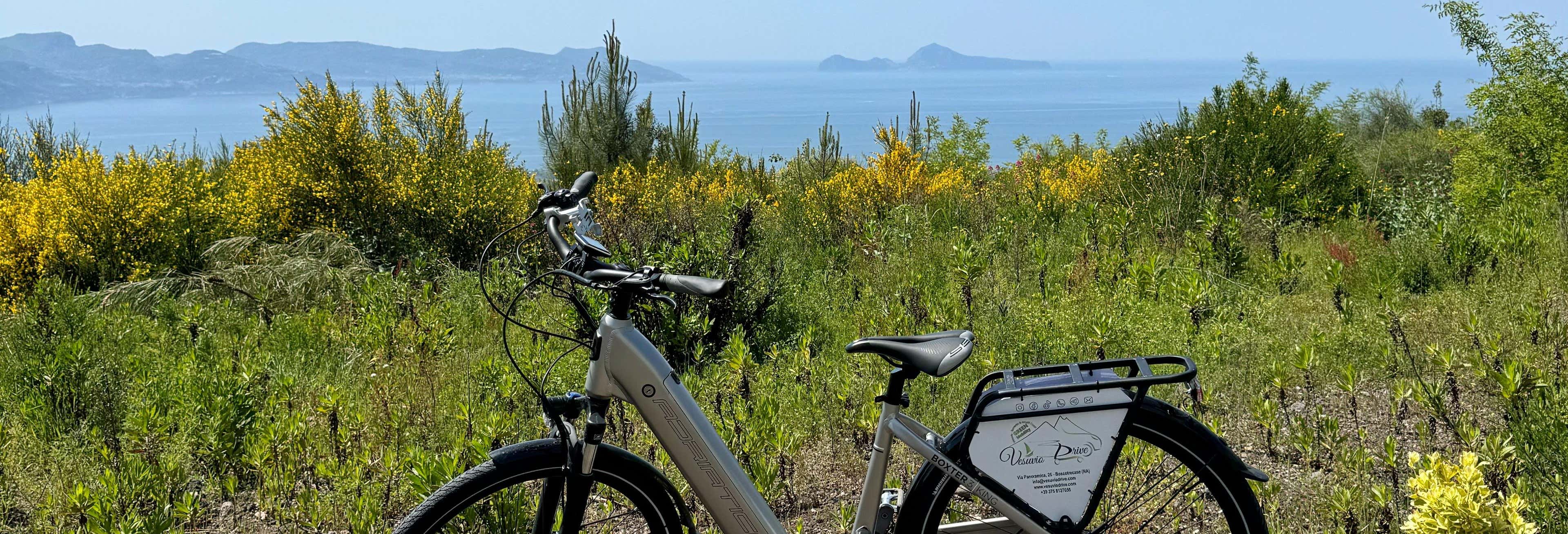 Tour in bicicletta elettrica e trekking sul Vesuvio