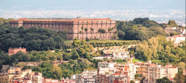 Visita guidata del Museo di Capodimonte