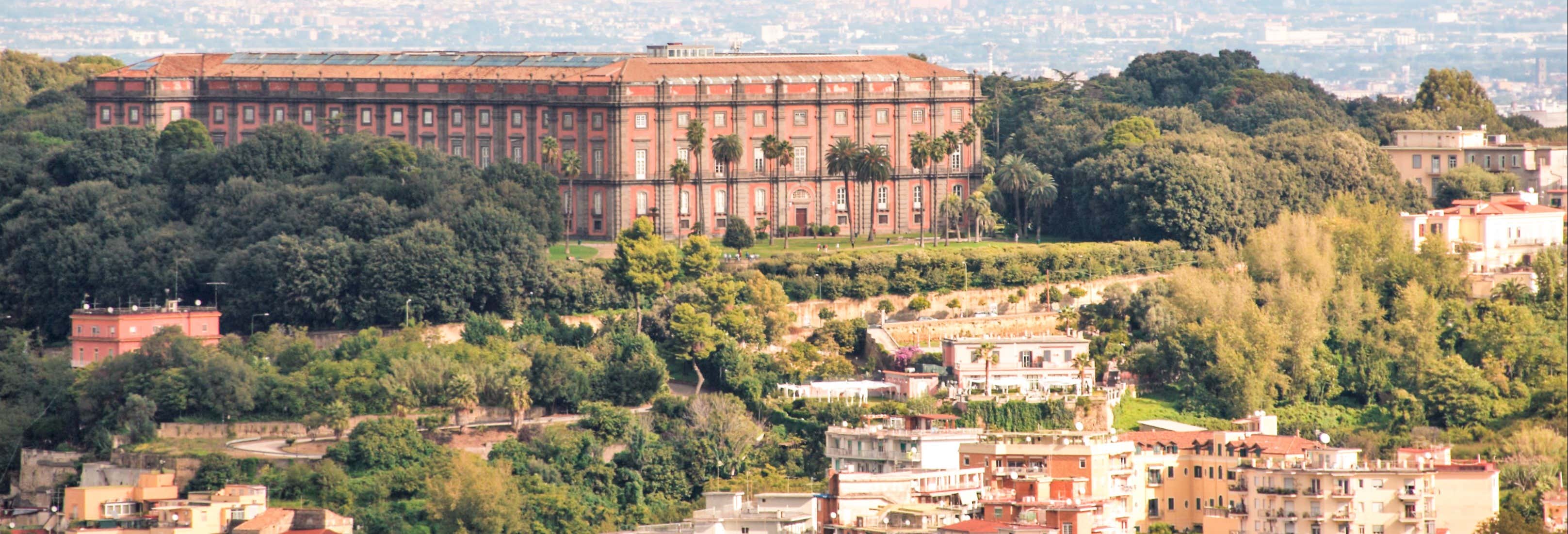 Visita guidata del Museo di Capodimonte